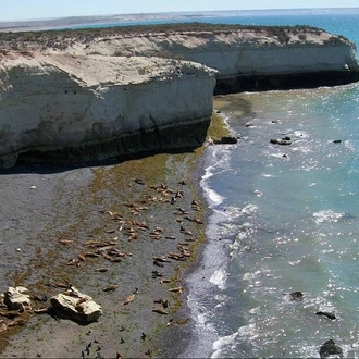 tourhub | Tangol Tours | 4-Day Puerto Madryn Tour 