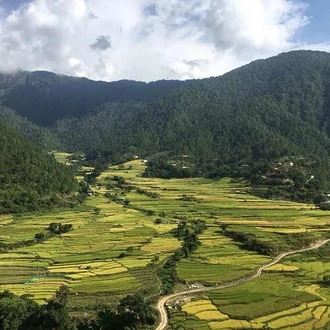 tourhub | Bhutan Acorn Tours & Travel | Glimpse of Bhutan Tour 