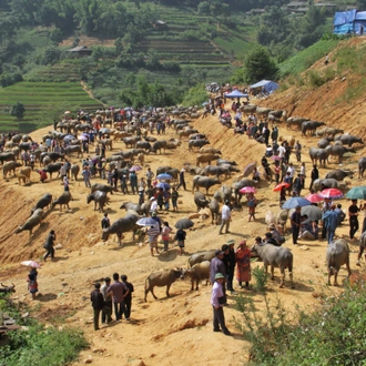 tourhub | Mr Linh's Adventures | Bac Ha trekking 2 days 1 night 