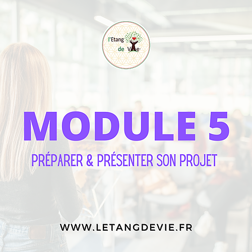 Représentation de la formation : Module 5 : Préparer & présenter son projet final