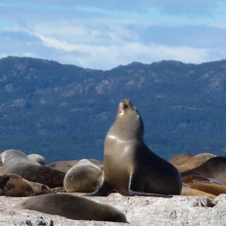 tourhub | On The Go Tours | Best of Patagonia - 10 days 