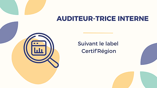 Représentation de la formation : AUDITEUR·TRICE INTERNE CERTIF REGION 