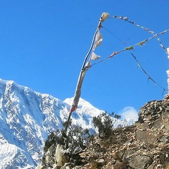 tourhub | Intrepid Travel | Tamang Heritage & Langtang Valley Trek 