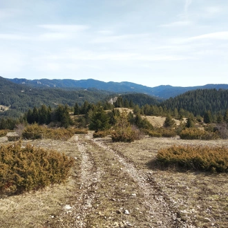 tourhub | The Natural Adventure | Walking in the Rhodope Mountains Short Break 