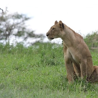 tourhub | Horizon Seeker Adventure | The best 2 days Tanzania safari to Arusha and Tarangire National Parks 