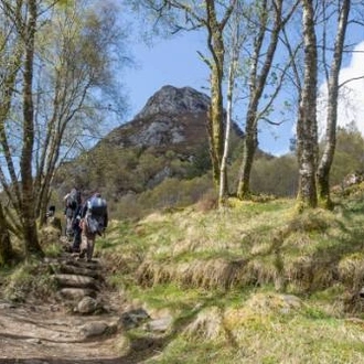 tourhub | Walkers' Britain | Rob Roy Way 