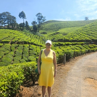 tourhub | Agora Voyages | Serene Escapes: Cochin to Munnar Retreat 