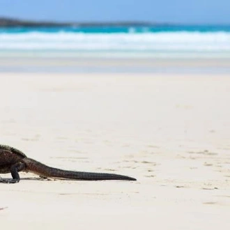 tourhub | On The Go Tours | Galapagos Encompassed - 17 days 