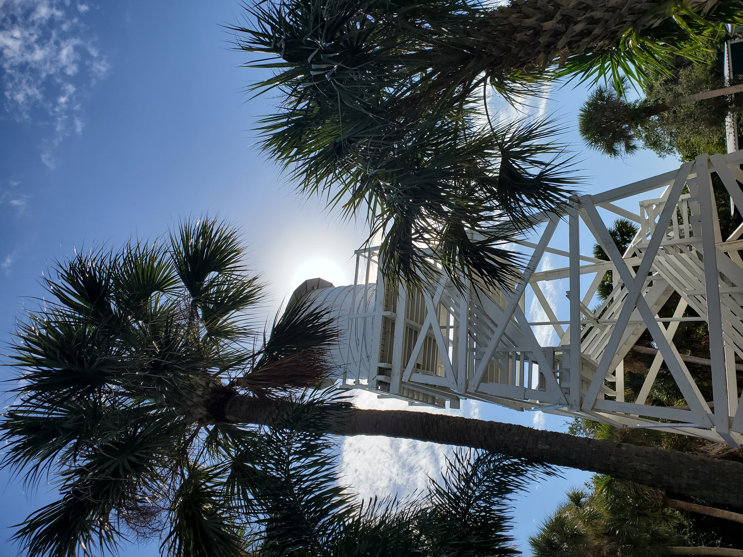 Cabbage Key Island Getaway Boat Tour