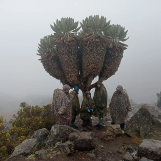 tourhub | Explore Active | Mountain Kilimanjaro: Machame route - 9 Day itinerary. 