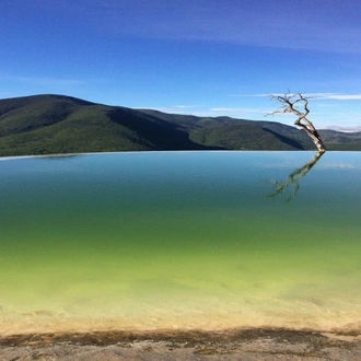 tourhub | Today Voyages | Oaxacan charm and Pacific coast 