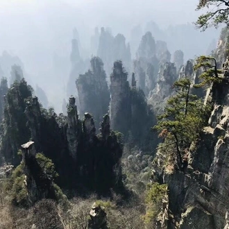 tourhub | Silk Road Trips | Southern China Explore: Shanghai to Zhangjiajie, Yangshuo and Hong Kong 