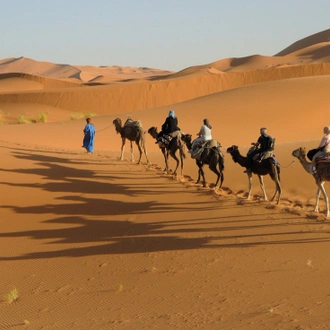 tourhub | Intrepid Travel | Premium Morocco in Depth 