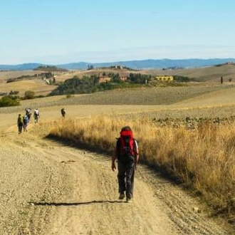 tourhub | UTracks | Via Francigena: Southern Tuscany from Siena 