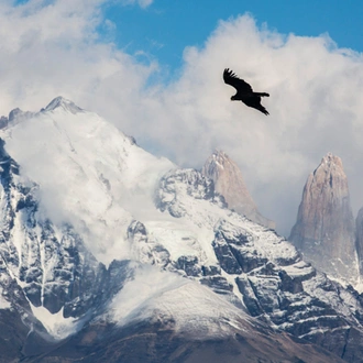 tourhub | G Adventures | Patagonia: Torres del Paine & Los Glaciares National Park 