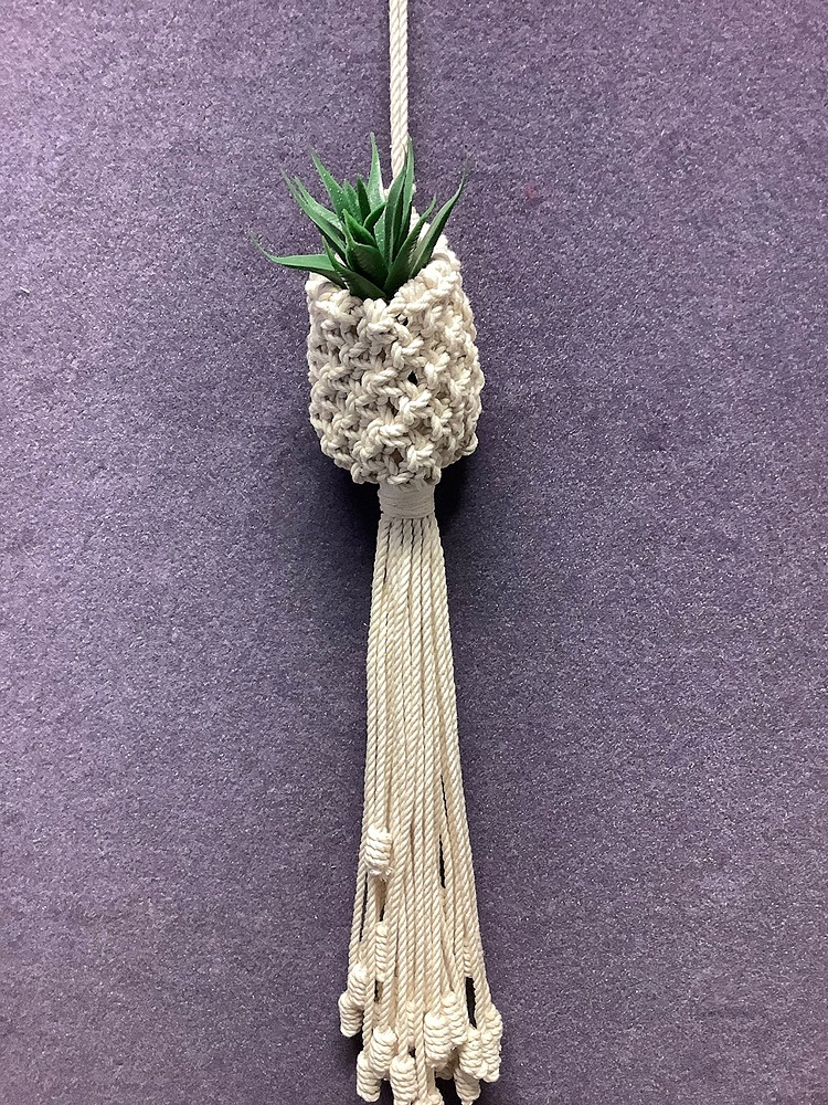 Air Plant Hanger - Intermediate