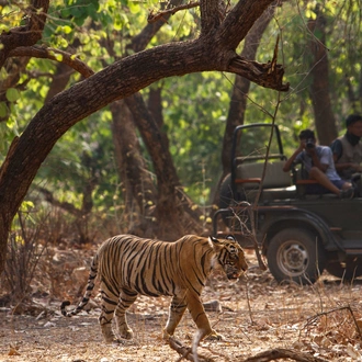 tourhub | Panda Experiences | North India Tour with Varanasi 