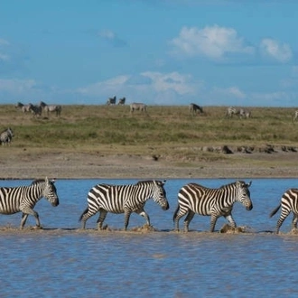 tourhub | Widerange African Safaris | 7 days Tanzania Budget/Midrange Safari by Widerange African Safaris 