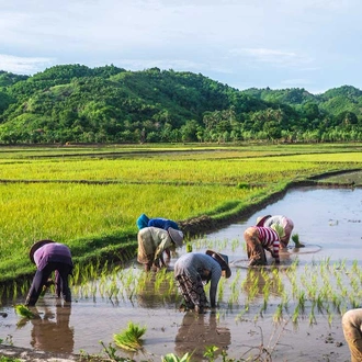 tourhub | Intrepid Travel | Discover Lombok 