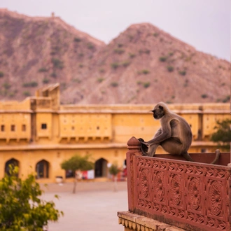 tourhub | Holidays At | Rajasthan Adventure Tour 