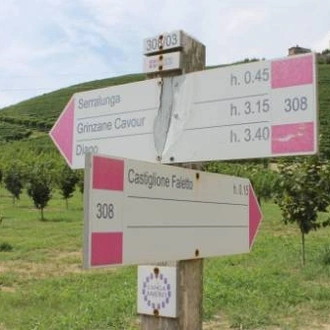 tourhub | UTracks | Piedmont: Land of Barolo and Barbera 