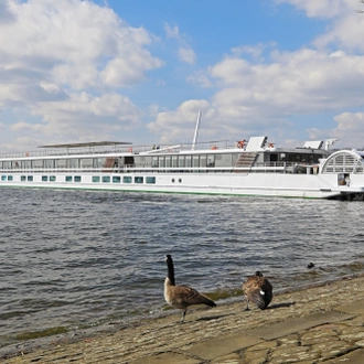 tourhub | CroisiEurope Cruises | One-of-a-Kind Cruise on the Rhine and Neckar Rivers (port-to-port cruise) 