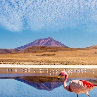 tourhub | On The Go Tours | Andean Discovery - 17 days 