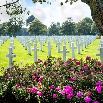 tourhub | Insight Vacations | WWI and WWII Battlefields - Small Group 