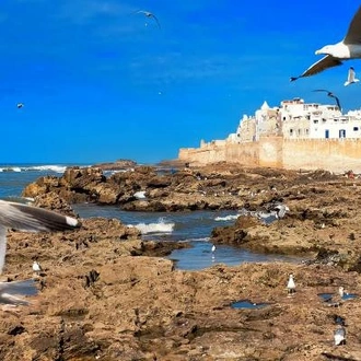 tourhub | On The Go Tours | Casablanca to Essaouira - 13 days 