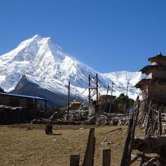 tourhub | Boundless Adventure P. Ltd. | Manaslu Circuit Trek 