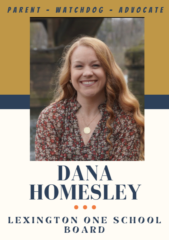 DANA HOMESLEY FOR LEXINGTON SCHOOL DISTRICT 1 logo