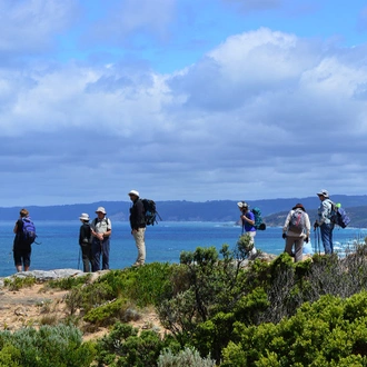 tourhub | Intrepid Travel | Hike the Great Ocean Walk 