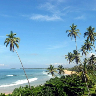 tourhub | Ceylon Travel Dream | Wildlife & Adventure Tour in Sri Lanka From 11 days 