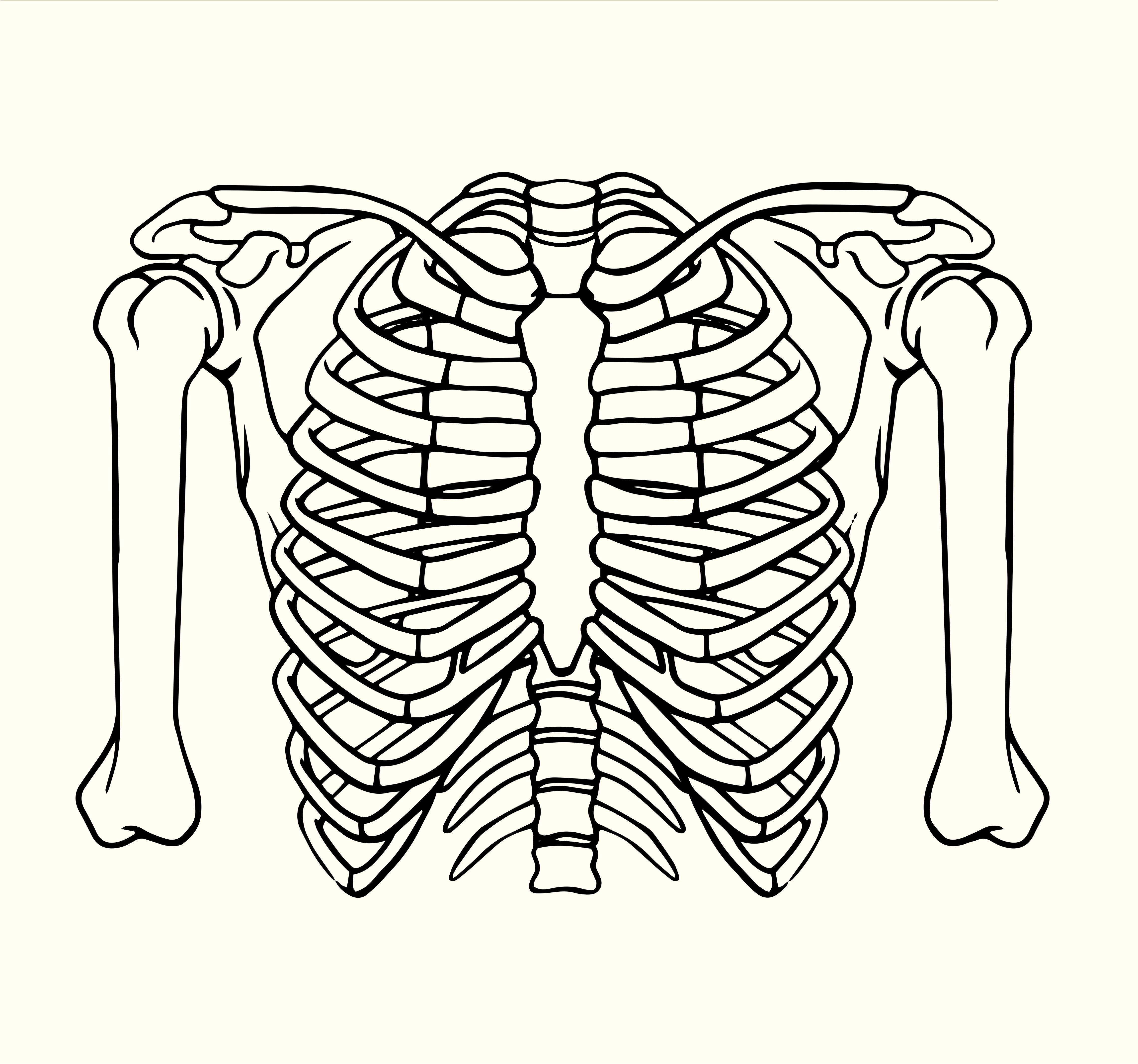 7-types-of-rib-injuries-extremity-adjusting-guru