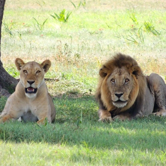 tourhub | Beach and Safari Holidays | Safari Expedition: Lake Natron to Ngorongoro Crater 