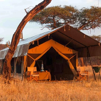 tourhub | Kilimanjaro Lifetime Adventures | 6 Day Tanzania Classic Lodge Safari 