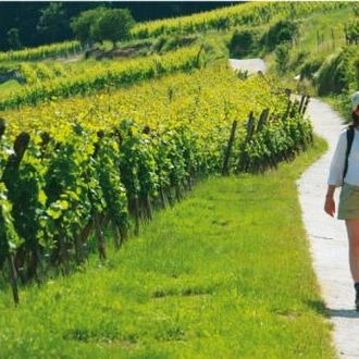 tourhub | UTracks | Alsace Mountains & Vineyards 