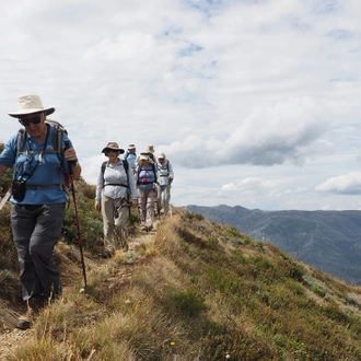 tourhub | Intrepid Travel | Walk Victoria's High Country 