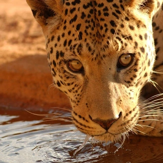 tourhub | Explore! | Namibia Lodge Safari 