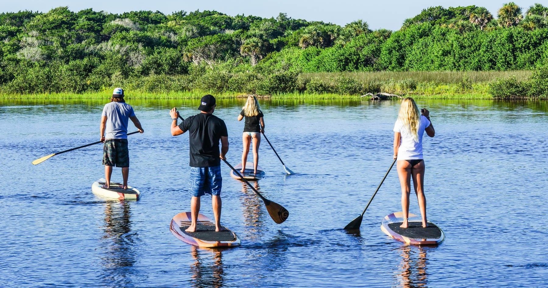 Dolphin and Manatee Adventure Tour of New Smyrna Beach