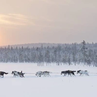 tourhub | On The Go Tours | Swedish Lapland & Arctic Explorer - 5 days 