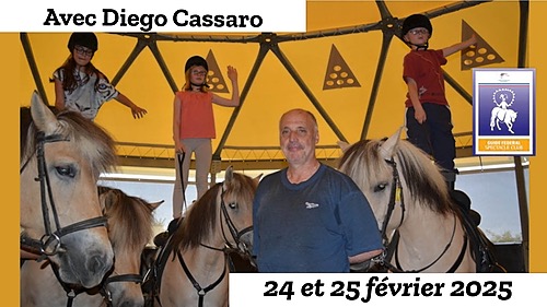 Représentation de la formation :  Spectacle et théâtre équestre de club - Diego CASSARO - 2025