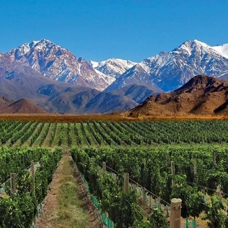 tourhub | Signature DMC | 4-Days Trip to Mendoza and The Andes 