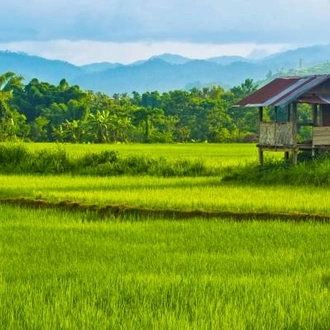 tourhub | On The Go Tours | Highlights of Laos - 7 days 