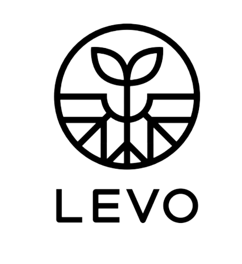 LEVO INTERNATIONAL INC logo