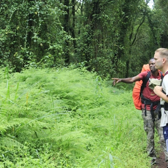 tourhub | Burigi Chato Safaris | 7 Days Kilimanjaro Mountain summit tour Via Machame route 