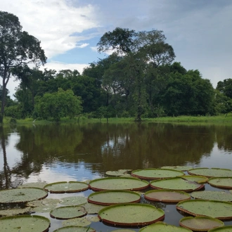 tourhub | Etours Brazil | Northern Pantanal & Jaguar Safari 