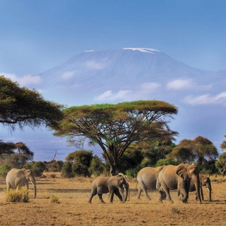 tourhub | Intrepid Travel | Safari to Kilimanjaro - Machame Route 