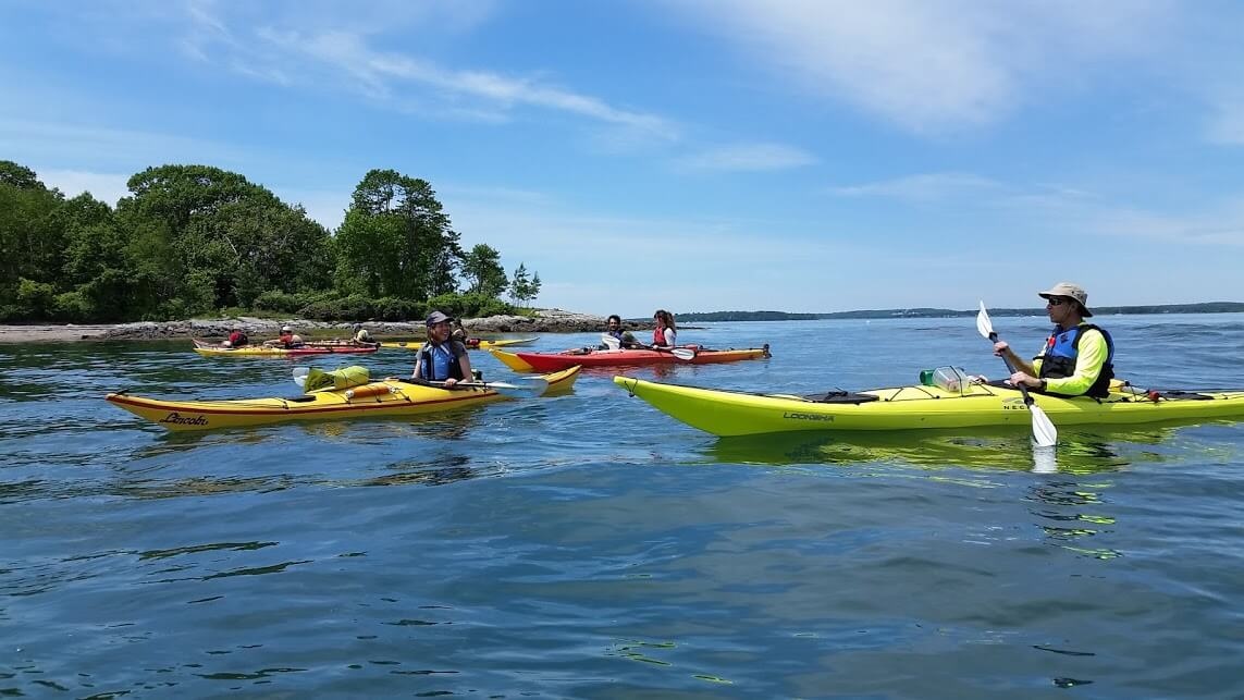 Half Day Sea Kayak Tour