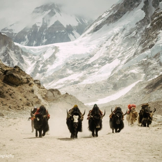 tourhub | Exodus Adventure Travels | Everest & Gokyo Lakes Circuit 